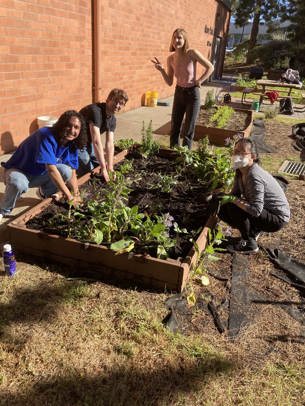 ERC Sol Patch Community Garden & AS | Associated Students