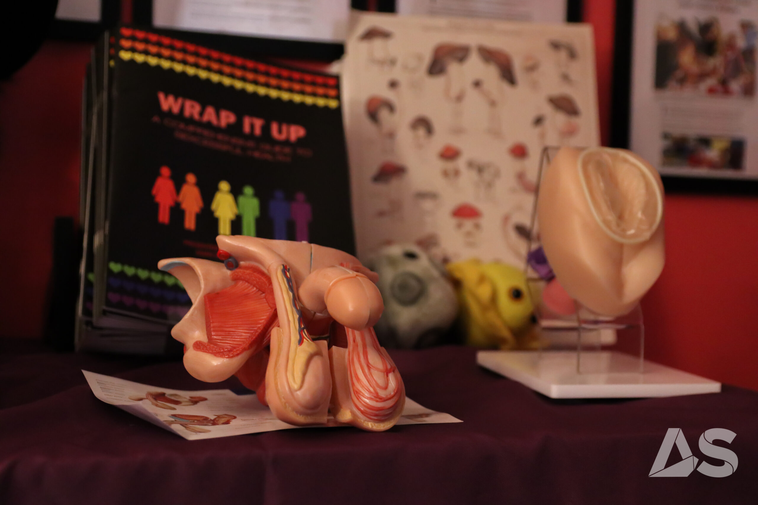 IMG_0088 - EROS Director (1)